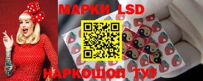 индика Шахты