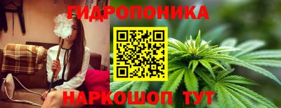 амф Шебекино