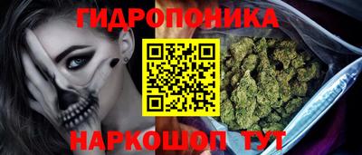 индика Шахты