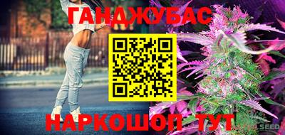 амф Шебекино