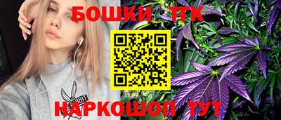 индика Шахты
