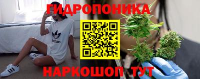 амф Шебекино