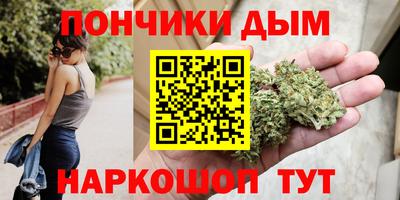 индика Шахты