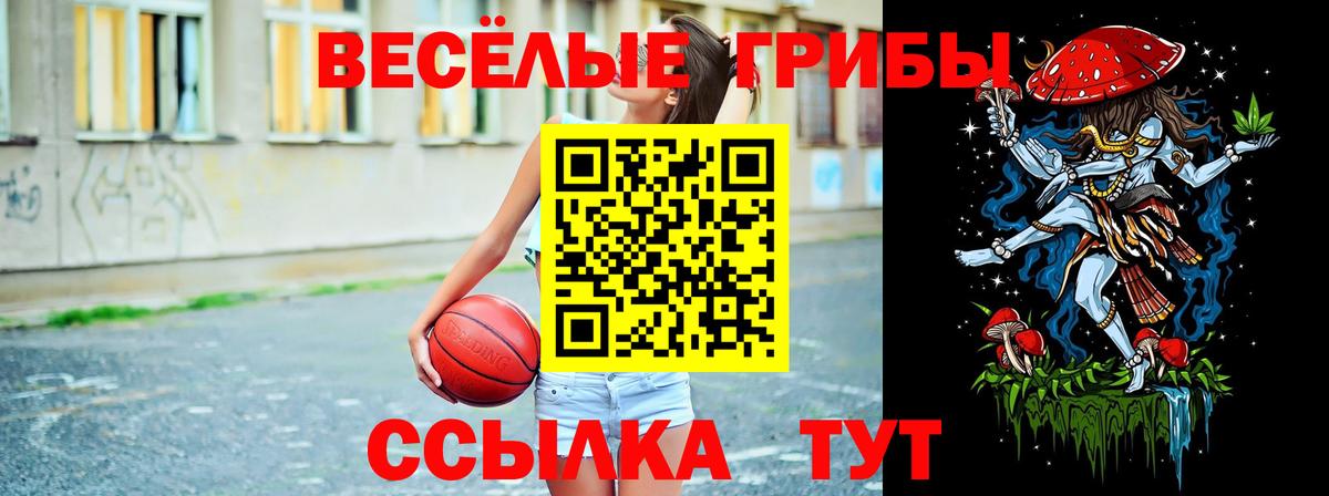 Псилоцибиновые грибы мицелий  Вход с VPN  Галлюциногенные грибы Magic Shrooms  Бийск 